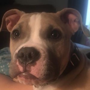 Meet your Posher, Melisa